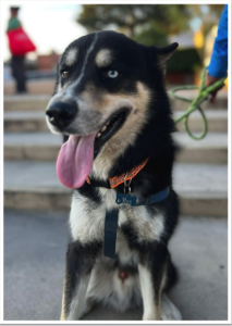 Captura de pantalla 2026-03-05 a la(s) 2.18.58 p.m.